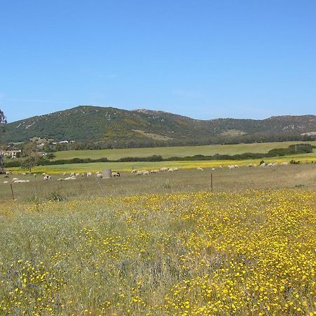 B&B Le Vele Teulada Εξωτερικό φωτογραφία