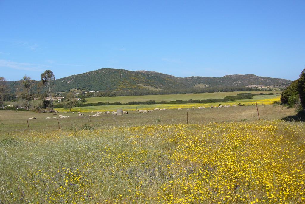 B&B Le Vele Teulada Εξωτερικό φωτογραφία
