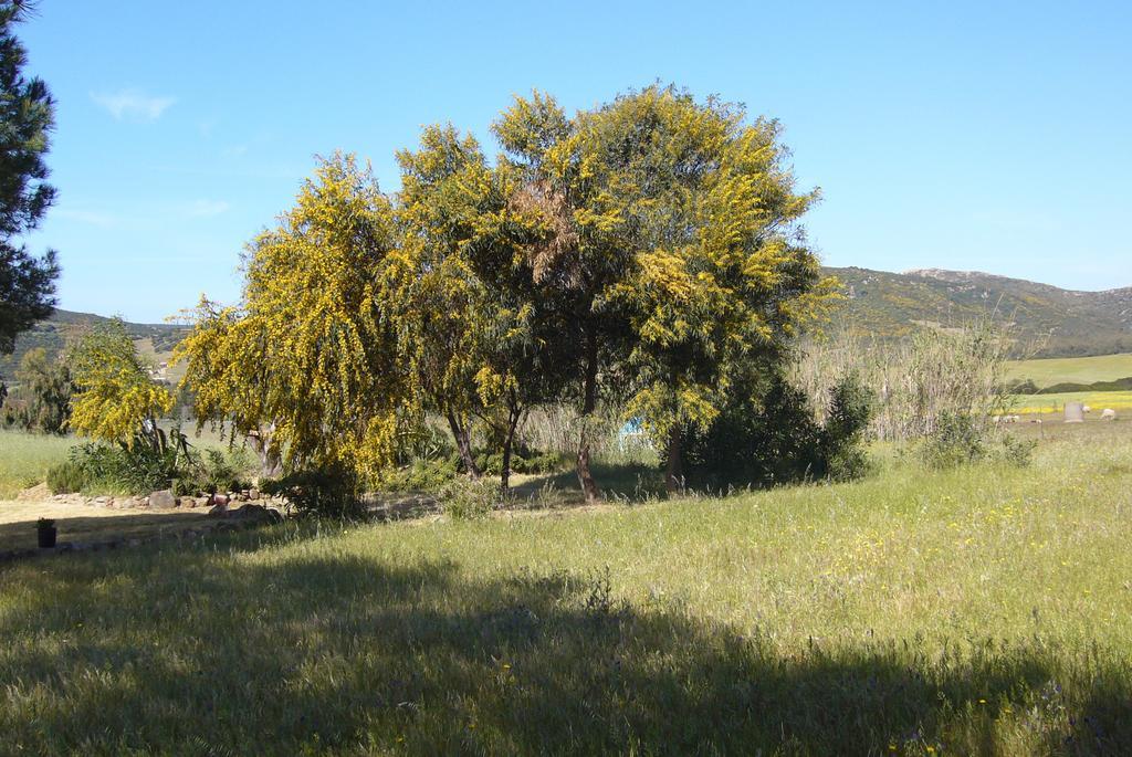 B&B Le Vele Teulada Εξωτερικό φωτογραφία